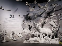-中国湿地博物馆