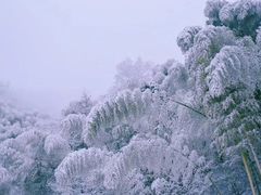 -东天目山风景区