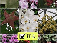 -上海辰山植物园