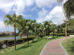 -三亚亚龙湾凯莱仙人掌度假酒店