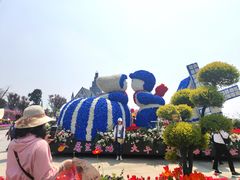 -荷兰花海