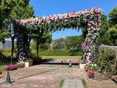 -春花秋色城市公园