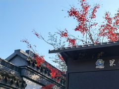 -梁鸿国家湿地公园