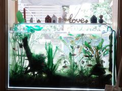-懒鱼时光馆(沙坪坝店)