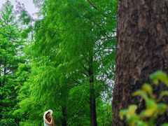 -中旅阿那亚九龙湖·公主酒店