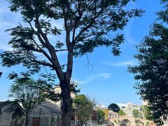 -赤坎·广东华侨国际旅游度假区