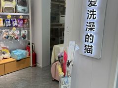 -爱洗澡的猫(望京店)