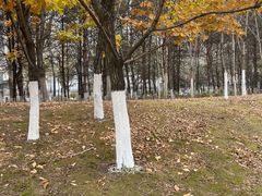 -长春世界雕塑园冰雪艺术天地