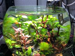 -三旗百汇商品城