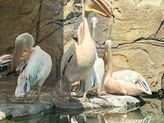 -波塞冬海底世界