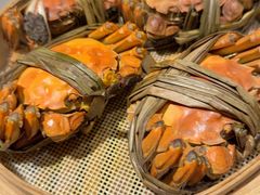 -杨氏青龙虾·羊蝎子(金盛路总店)