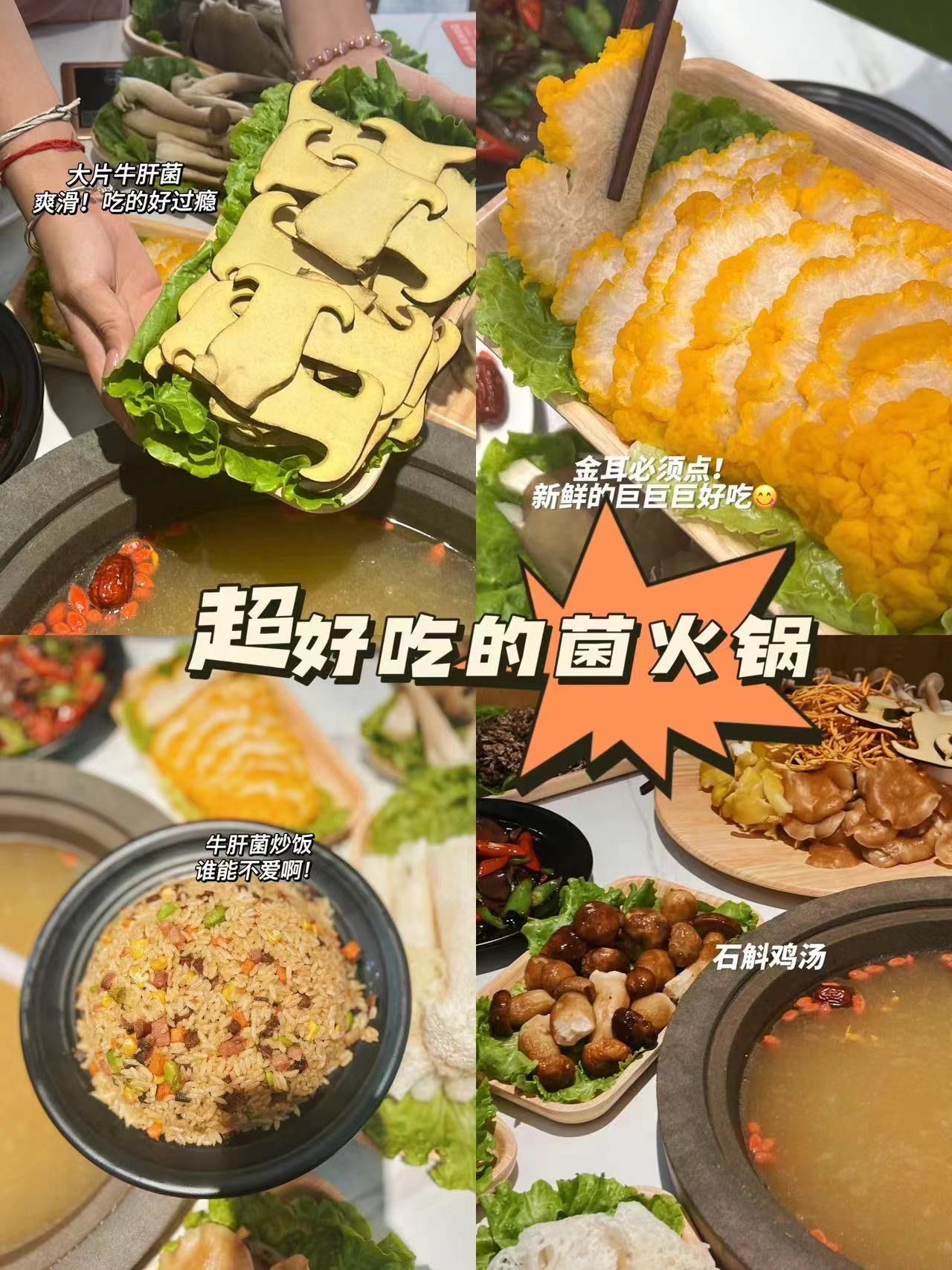 答应我!来西双版纳一定要去吃的牛肝菌火锅