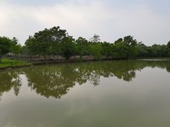 -上海海湾国家森林公园