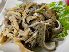 -墨脱石锅椰子鸡•香草鸭•东山羊(大东海店)