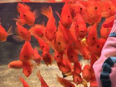 -常州海昌海洋探索馆