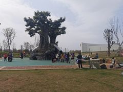 -九龙湖公园