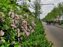 -洨河生态公园