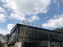 -桉树林A coffee 森林餐厅(三圣乡店)
