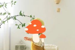 点击看大图 -花开映像儿童摄影