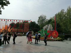 -合肥滨湖国家森林公园