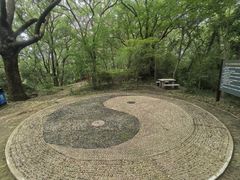 -上海佘山国家森林公园天马山园