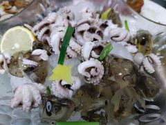 土笋冻拼章鱼-鑫悦楼煎蟹·16年海鲜大排档