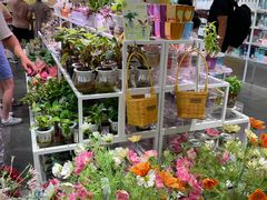 -KKV(上海月星环球港店)