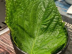 -红岸碳烤齐齐哈尔原味生态烤肉