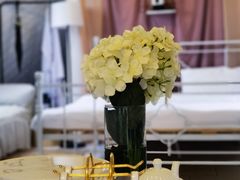 -安德鲁户外烧烤帐篷营地(马泉营店)