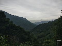 -龙窝子