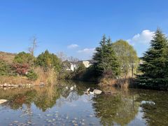 -白马涧龙池景区