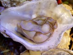 -农家霸王地锅鸡(国顺东路店)