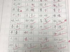 -赵汝飞练字硬笔书法(静安寺校区)