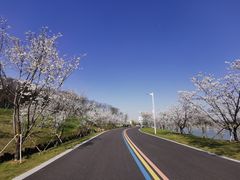 -羊山湖公园