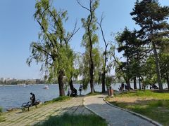 -长春市南湖公园