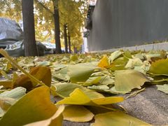 -月坛公园