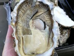 -Casa Fina Seafood & Oyster Bar