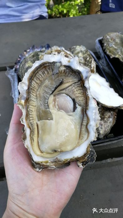 Casa Fina Seafood & Oyster Bar图片
