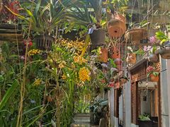 -中国科学院西双版纳热带植物园