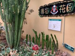 -正佳雨林生态植物园