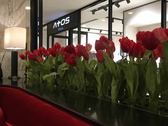大堂-Salon de The de Joel Robuchon(外滩18号店)