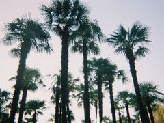 -西南交通大学(九里校区)