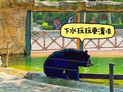 -上海野生动物园