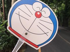 -西双版纳原始森林公园