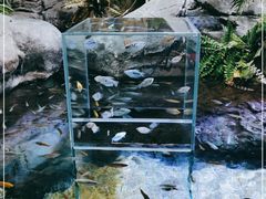 -上海海洋水族馆