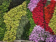 -深圳国际园林花卉博览园