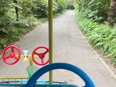 -上海滨江森林公园