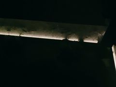 -新紫霞养生·影院足道·SPA(金山区店)