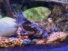 -上海海洋水族馆