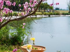 -云里小坐·海泉湾·团建·宴席·下午茶(金堂海泉湾店)